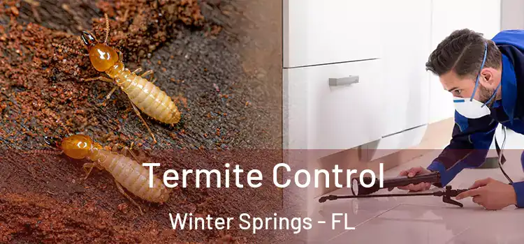 Termite Control Winter Springs - FL