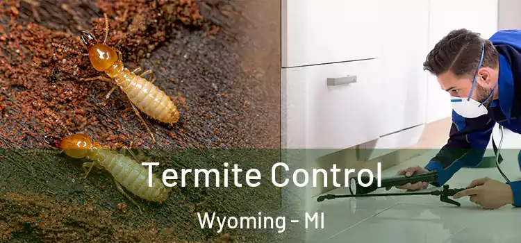 Termite Control Wyoming - MI