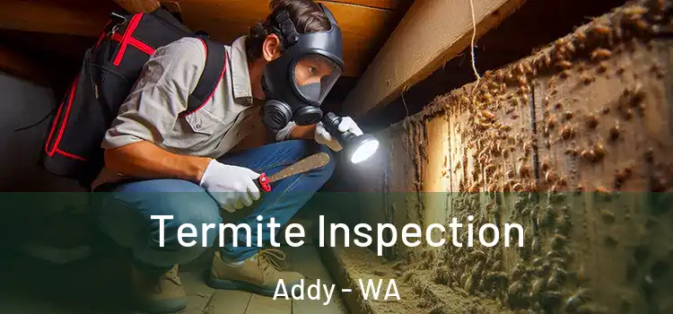  Termite Inspection Addy - WA