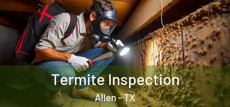  Termite Inspection Allen - TX