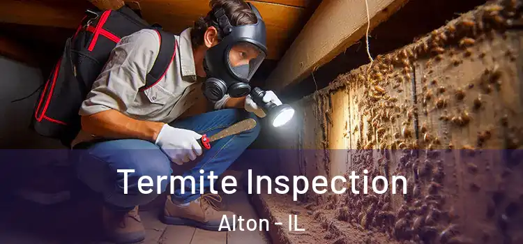 Termite Inspection Alton - IL