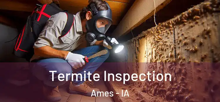 Termite Inspection Ames - IA