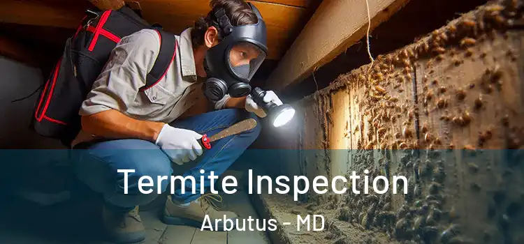  Termite Inspection Arbutus - MD
