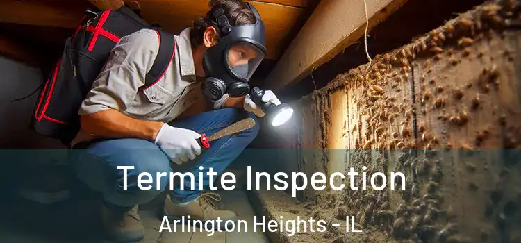  Termite Inspection Arlington Heights - IL