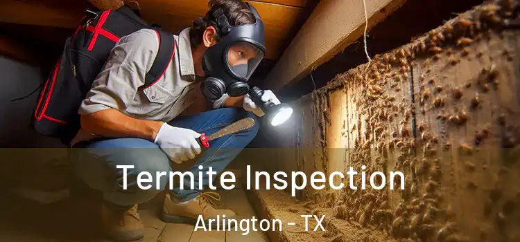  Termite Inspection Arlington - TX