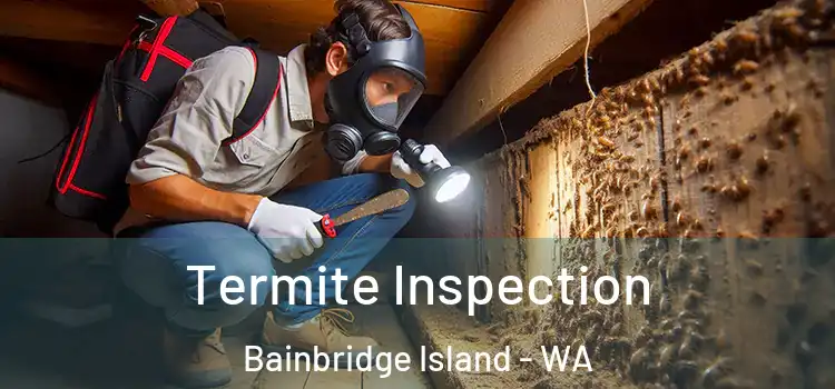  Termite Inspection Bainbridge Island - WA