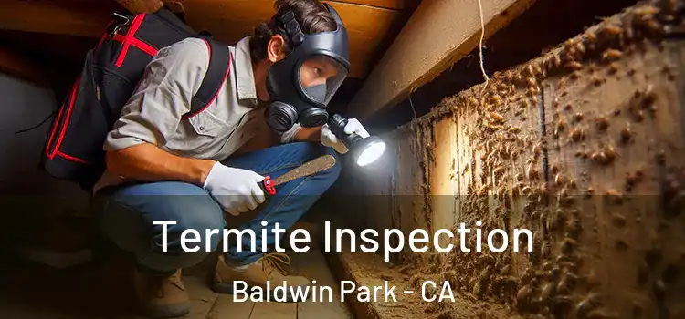  Termite Inspection Baldwin Park - CA
