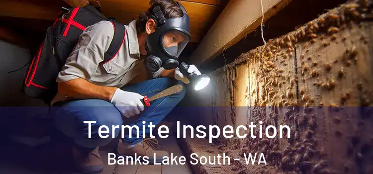  Termite Inspection Banks Lake South - WA
