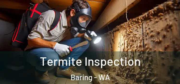  Termite Inspection Baring - WA