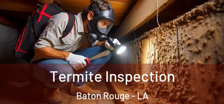  Termite Inspection Baton Rouge - LA