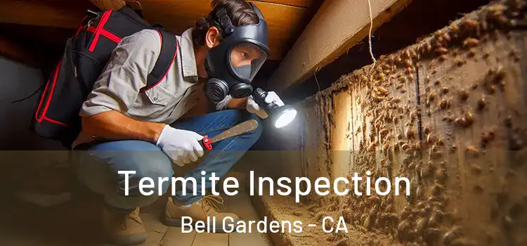  Termite Inspection Bell Gardens - CA