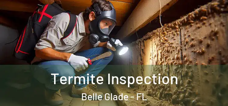  Termite Inspection Belle Glade - FL
