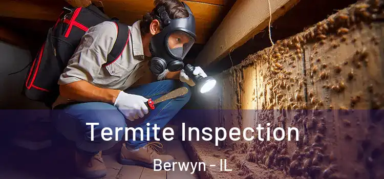  Termite Inspection Berwyn - IL