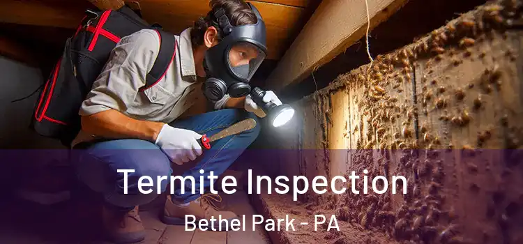 Termite Inspection Bethel Park - PA