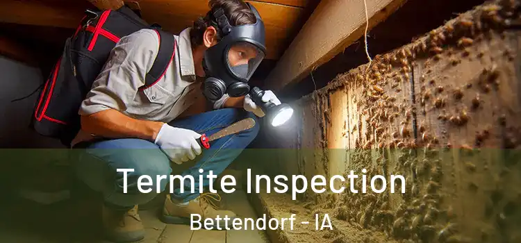 Termite Inspection Bettendorf - IA