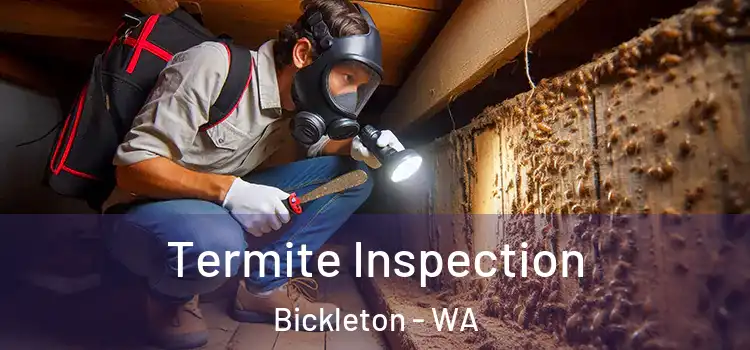  Termite Inspection Bickleton - WA
