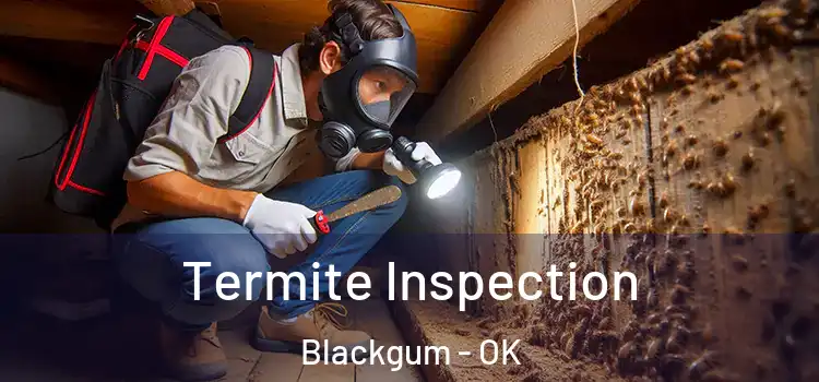  Termite Inspection Blackgum - OK