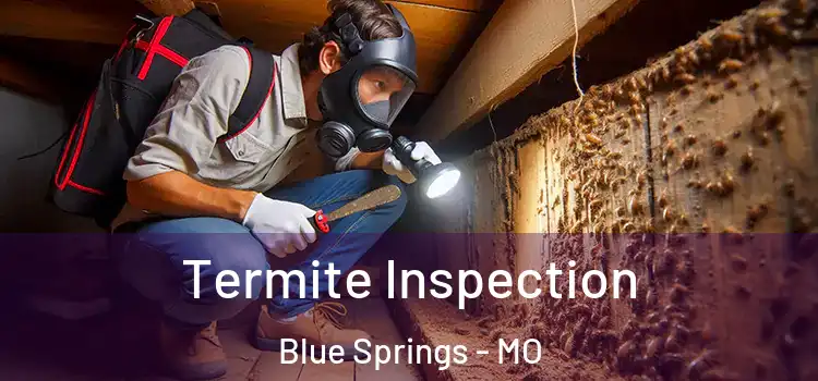  Termite Inspection Blue Springs - MO