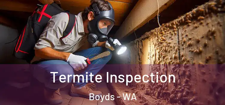  Termite Inspection Boyds - WA