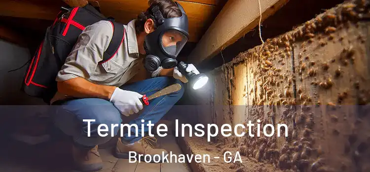 Termite Inspection Brookhaven - GA
