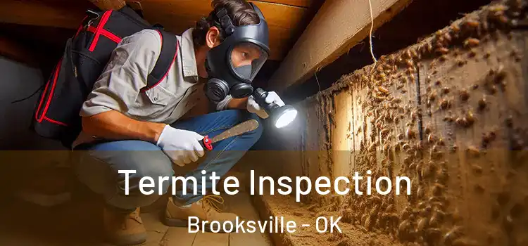  Termite Inspection Brooksville - OK