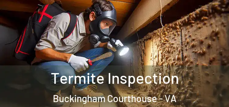  Termite Inspection Buckingham Courthouse - VA