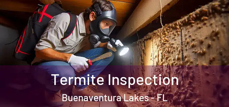  Termite Inspection Buenaventura Lakes - FL