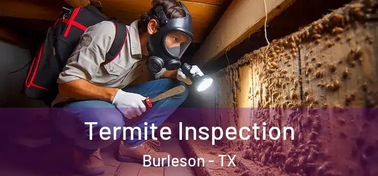  Termite Inspection Burleson - TX