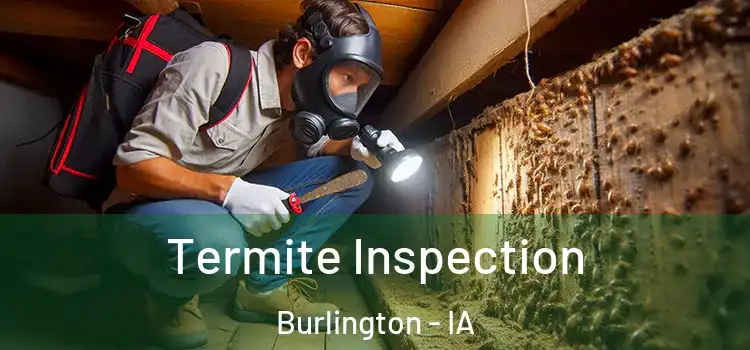 Termite Inspection Burlington - IA