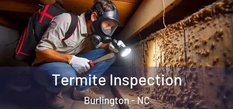 Termite Inspection Burlington - NC