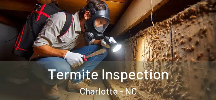 Termite Inspection Charlotte - NC