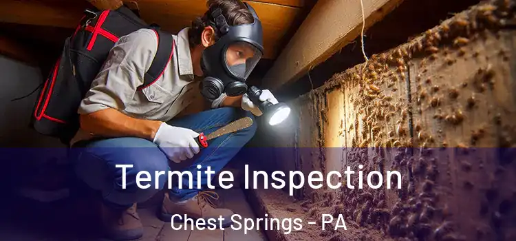Termite Inspection Chest Springs - PA