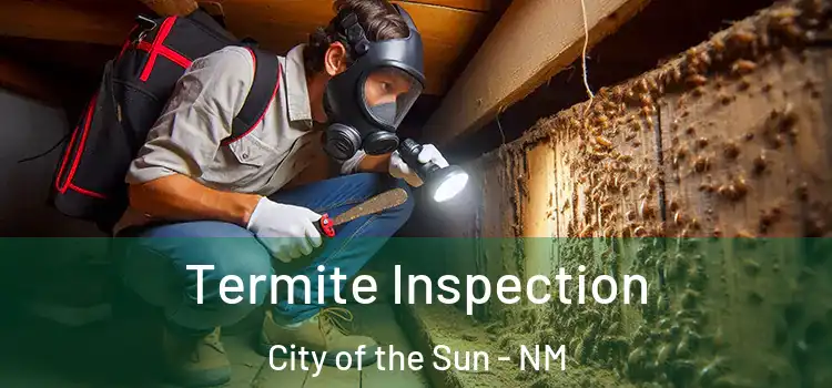 Termite Inspection City of the Sun - NM