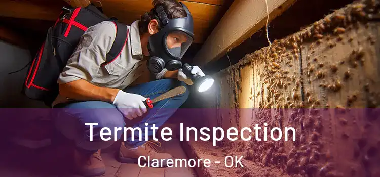  Termite Inspection Claremore - OK