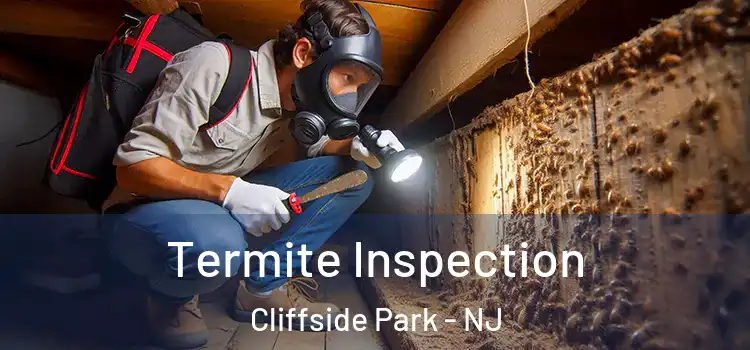  Termite Inspection Cliffside Park - NJ