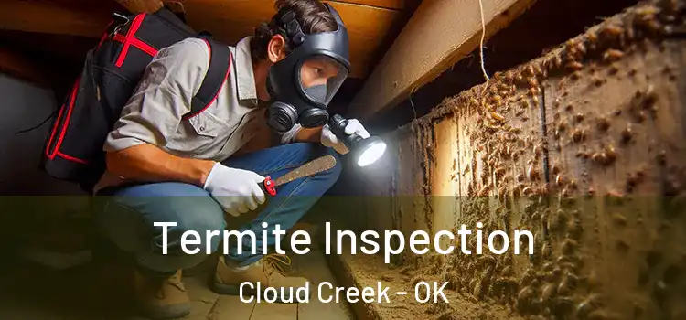  Termite Inspection Cloud Creek - OK