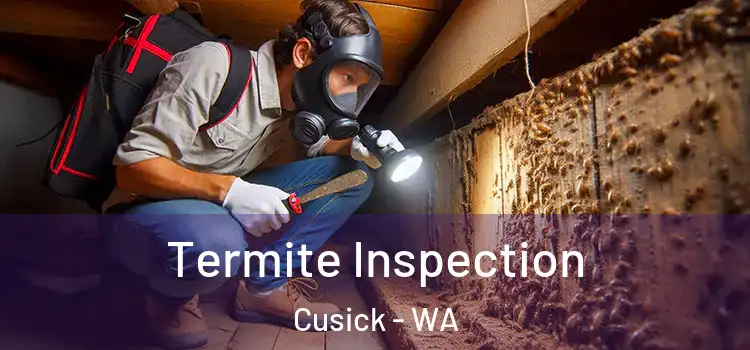  Termite Inspection Cusick - WA