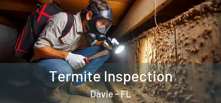  Termite Inspection Davie - FL