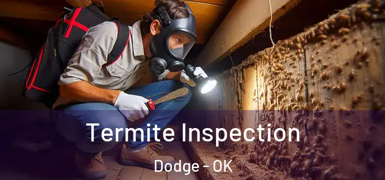  Termite Inspection Dodge - OK