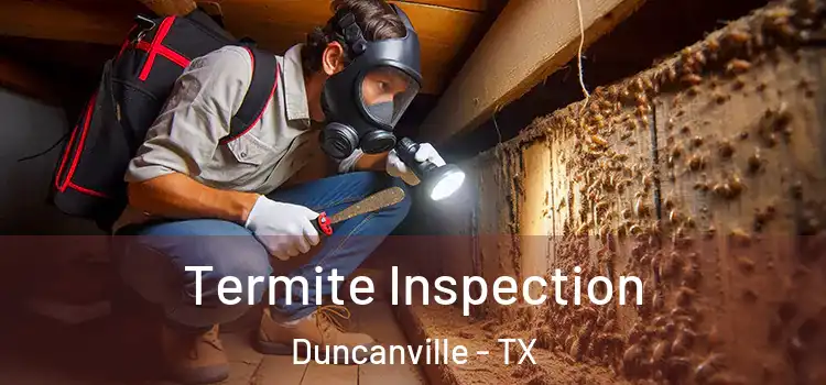Termite Inspection Duncanville - TX