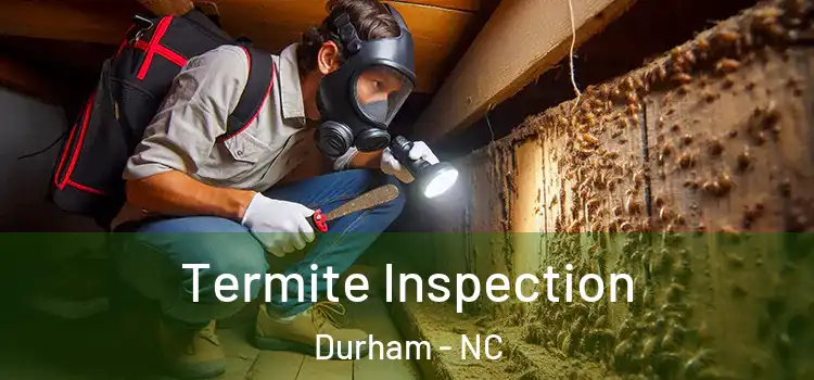 Termite Inspection Durham - NC