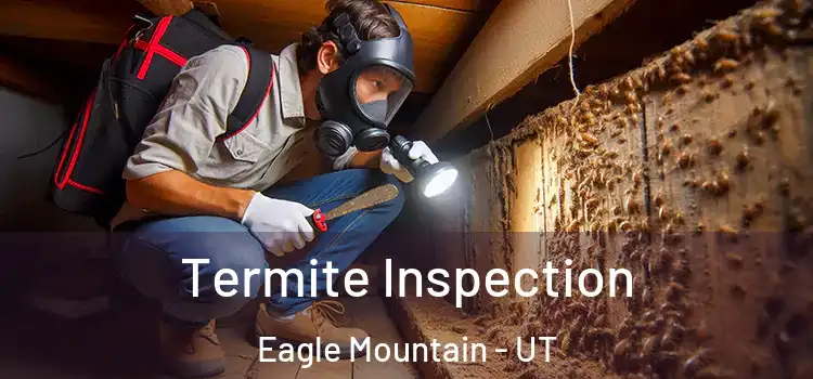  Termite Inspection Eagle Mountain - UT