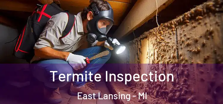 Termite Inspection East Lansing - MI