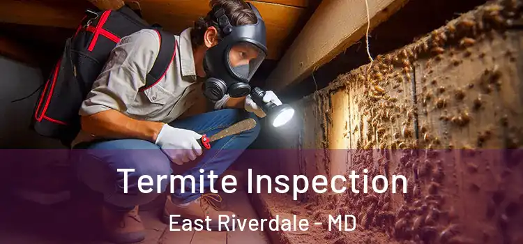  Termite Inspection East Riverdale - MD