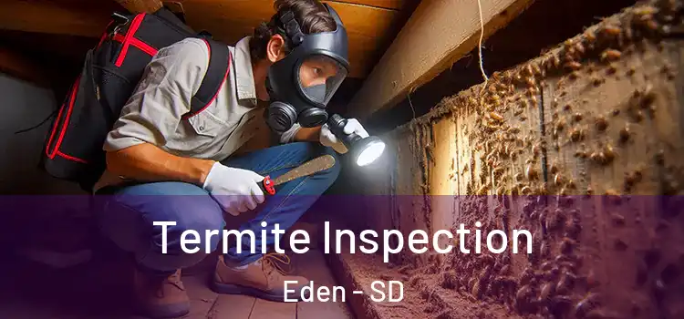  Termite Inspection Eden - SD