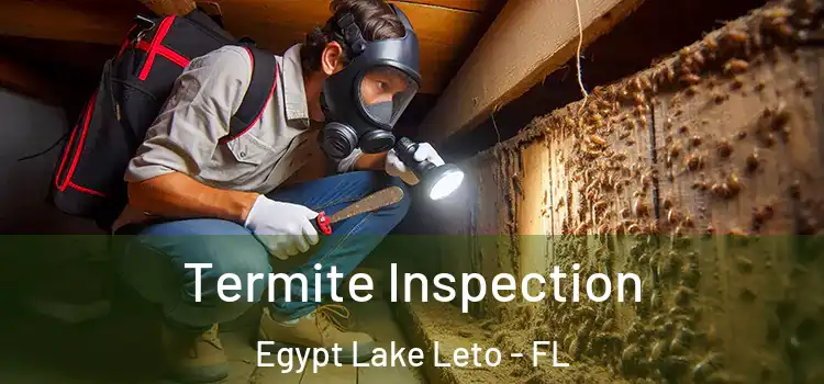  Termite Inspection Egypt Lake Leto - FL