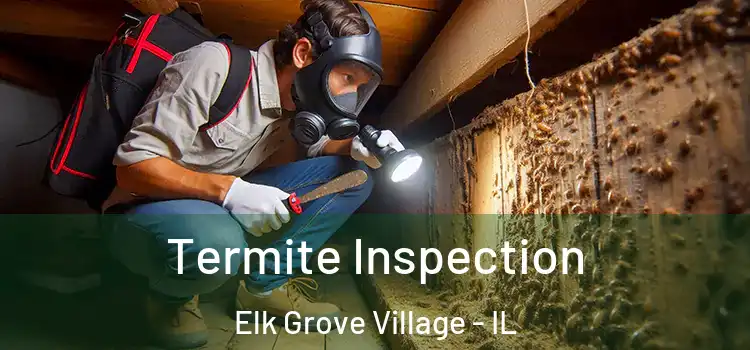 Termite Inspection Elk Grove Village - IL