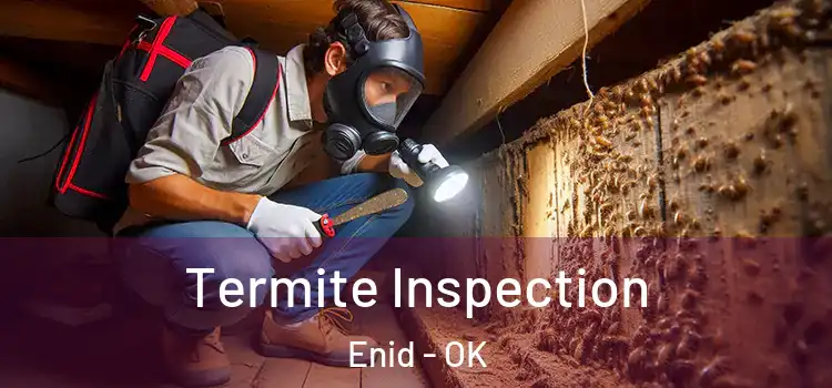  Termite Inspection Enid - OK