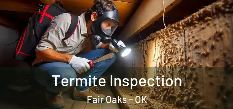  Termite Inspection Fair Oaks - OK