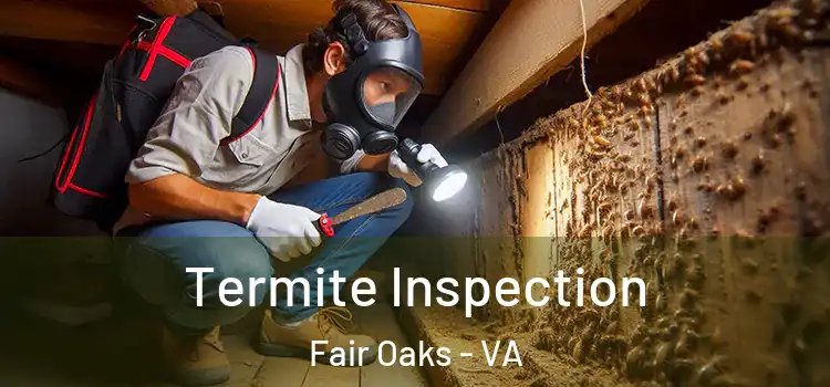  Termite Inspection Fair Oaks - VA